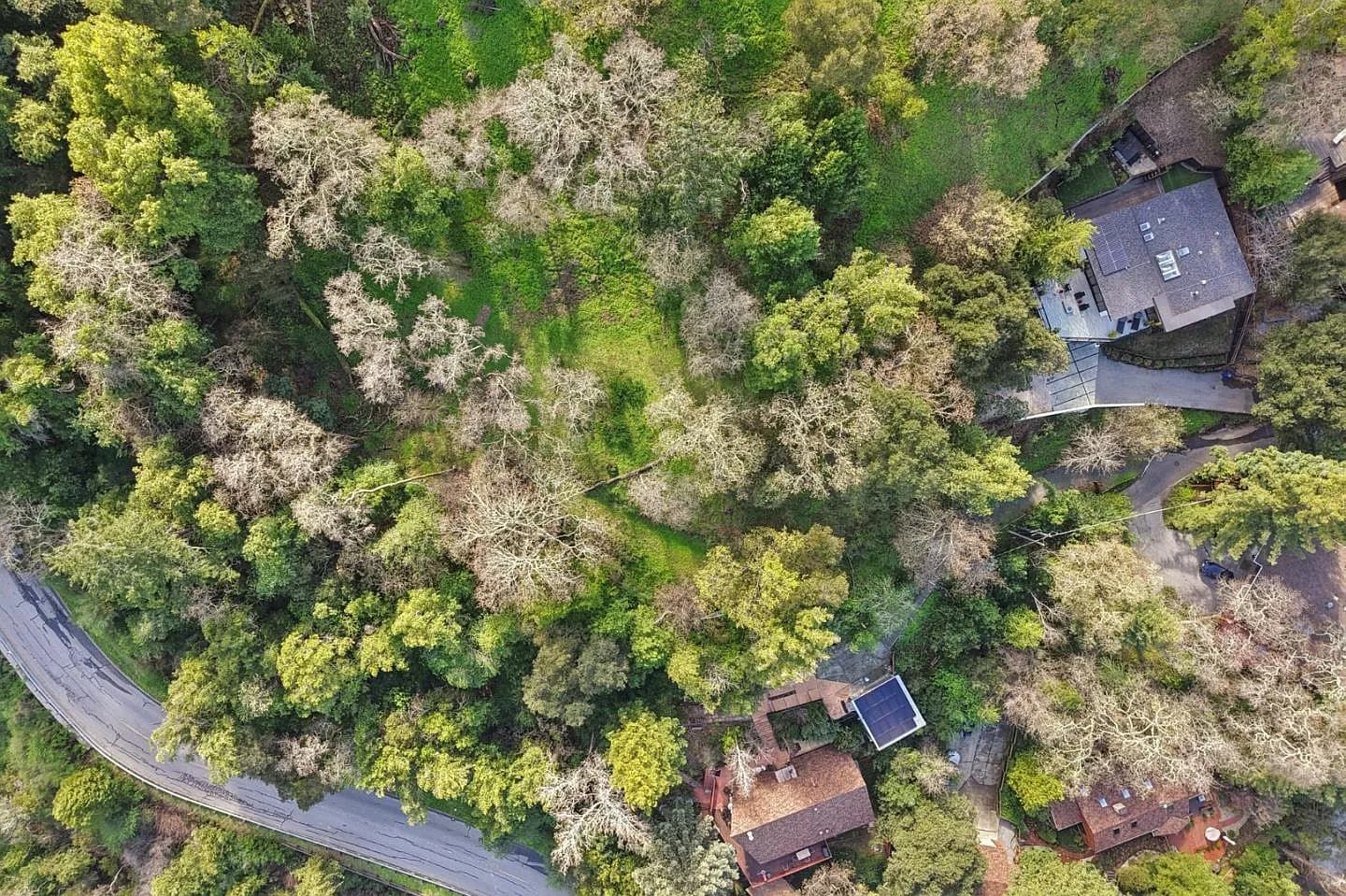 145 Foxwood Rd, listing photograph 1