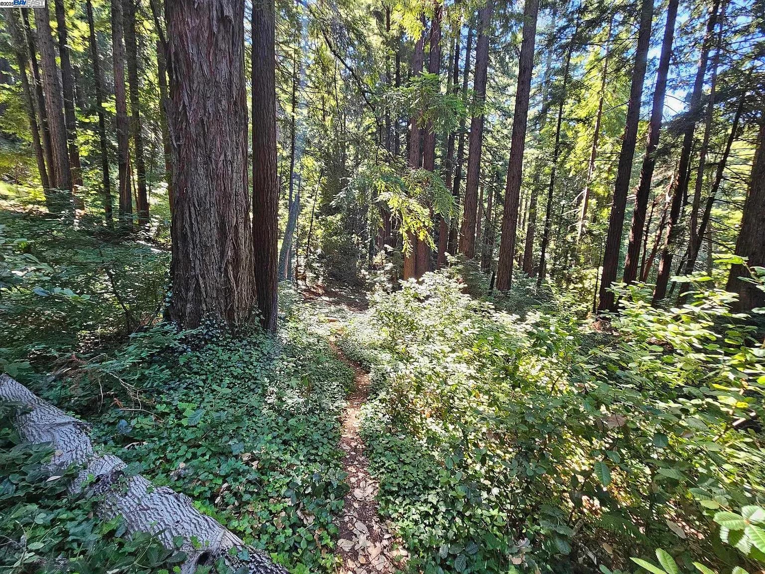 27 Old La Honda Rd, listing photograph 1