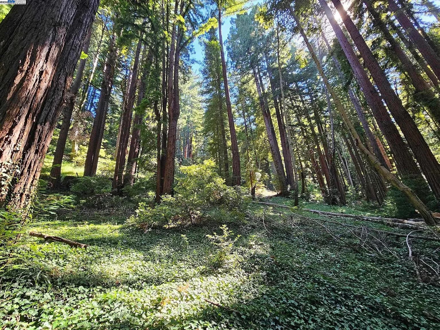 26 Old La Honda Rd, listing photograph 1