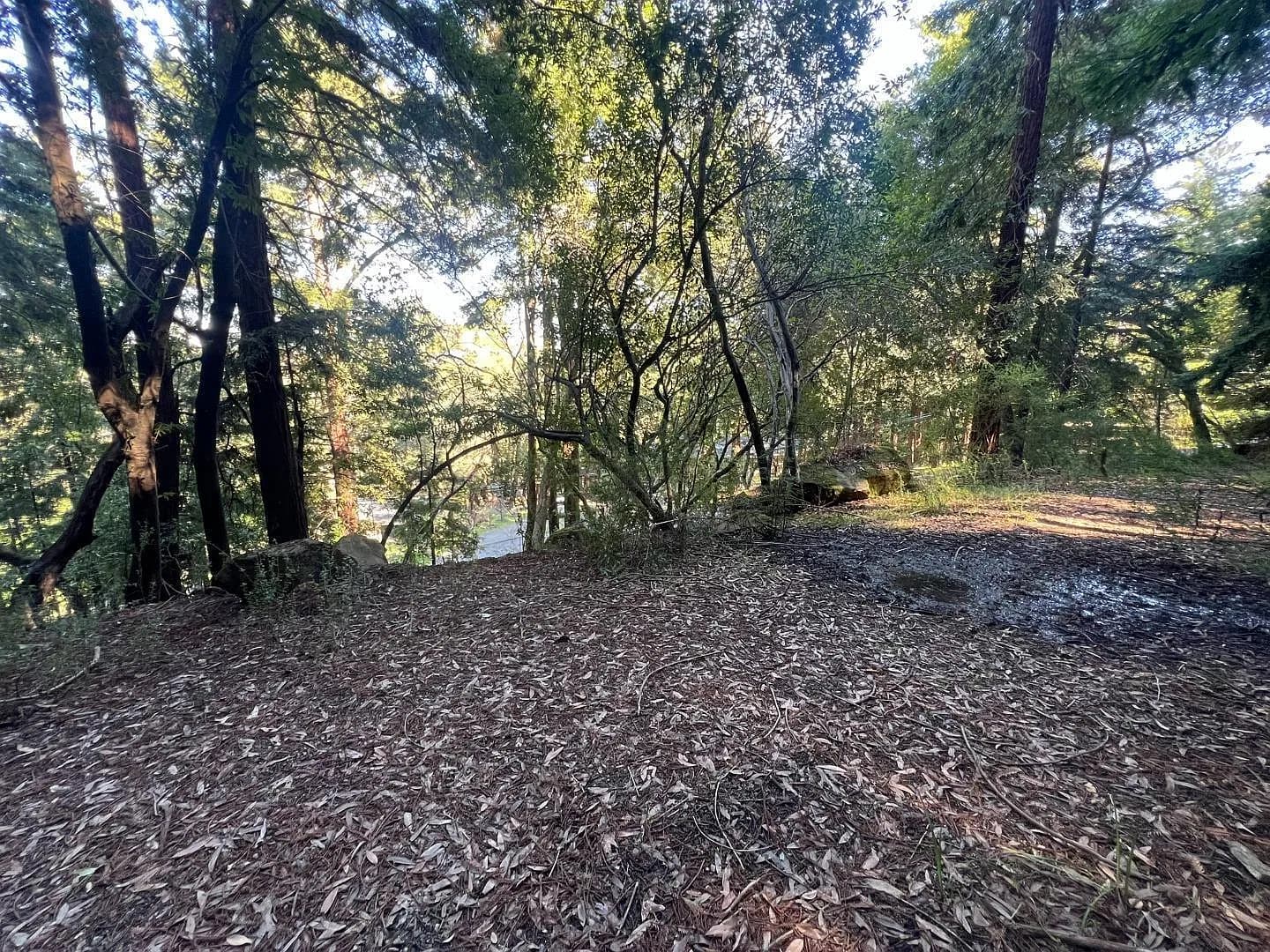 559 Patrol Rd, listing photograph 1
