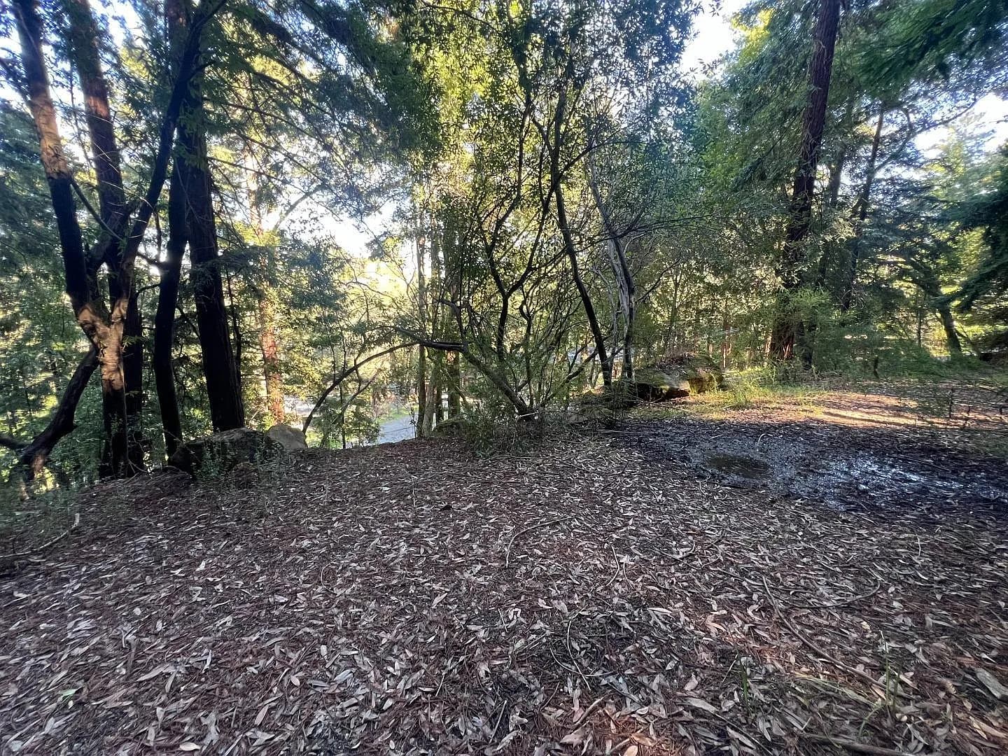 559 Patrol Rd, listing photograph 1